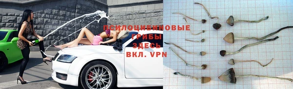 молекула духа Аркадак