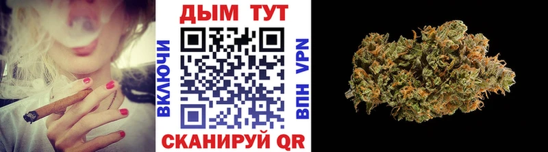 Шишки марихуана SATIVA & INDICA  KRAKEN ССЫЛКА  Почеп 